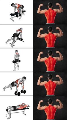 the back view of a man doing exercises with dumbbells and bench pressups