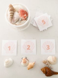 seashells and cards with numbers on them