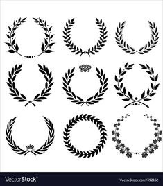 a set of black and white laurel wreaths stock photo, images and royalty illustrations