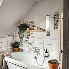 a white bath tub sitting under a bathroom mirror next to a plant in a pot