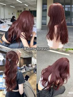 Dyes Hair Ideas, Hair Color Ideas For Tan Skin, Hair Color Ideas For Pale Skin, Hair Color Swatches, Korean Hair Color, Wine Hair, Cherry Hair