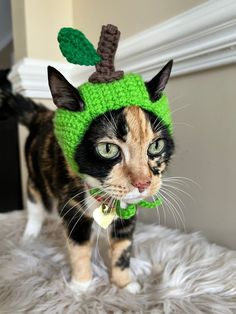 a cat wearing a green knitted hat with leaves on it's head and ears