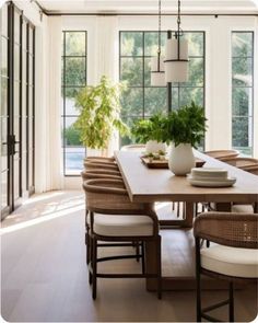 a dining room table with chairs and a potted plant in the middle of it