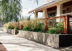 a sidewalk next to a building with plants growing on it