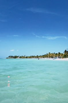 the water is very clear and blue in this tropical beach scene, with palm trees lining the shore