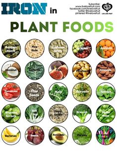 HEALTHY FOOD - "Plant sources of iron." Vegetables High In Iron, Different Foods, Diet Vegetarian, Diet Keto, Plant Based Protein