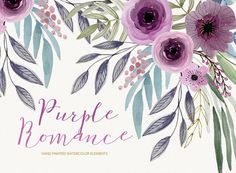 the words purple romance are surrounded by watercolor flowers