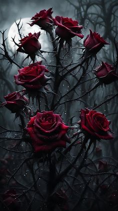 a bunch of red roses sitting on top of a tree branch in front of a full moon