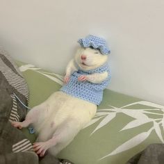 a white rat with a blue knitted hat and sweater sitting on top of a pillow