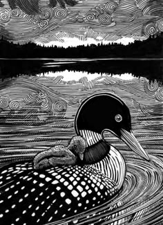 a black and white drawing of a duck in the water