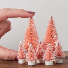 a person is holding out their fingers to some miniature trees