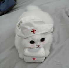 a white cat with a red cross on it's head is sitting on a bed