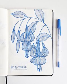 Days 44 to 47 - Still having so much fun! * I'm doing 100 days of floral linework. Each day, I will draw a different flower using a gel pen so I can get better at drawing different and unexpected flowers. If you want to follow me along and also draw, paint, or make a collage of the same flowers, stay tuned as I will be sharing a list with new flowers each 10 days. #100dayproject #100dayofflorallinework #florallinework #flowerdrawing #flowersketch Pen Drawings Of Flowers, Two Flowers Drawing, Butterflies And Flowers Drawing, Sketchbook Ideas Pen, Flower Drawing Embroidery, Colored Pencil Flower Drawing, Sketchbook Ideas Flowers, What Should I Draw Ideas, Pen Drawing Flower