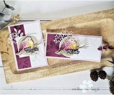 two cards made with stampin's tropical birds