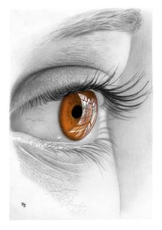 an orange colored eye with long lashes and brown eyeshade is shown in this drawing