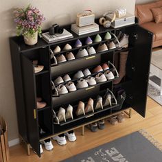 there is a shoe rack with many pairs of shoes on it in the living room