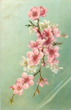 a painting of pink and white flowers on a green background