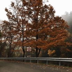 a sign on the side of a road in front of trees with orange leaves around it