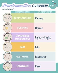 the different types of neurotramaties in an overview to what they are