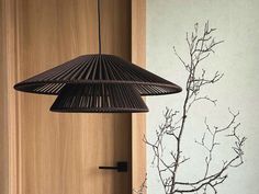 a black lamp hanging from a ceiling next to a vase with flowers in it and a tree branch