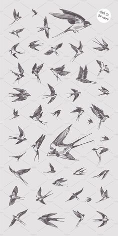 a bunch of birds flying in the sky