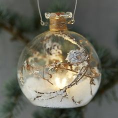 a glass ornament hanging from a tree with snow on the inside and branches in it