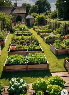 the garden is full of vegetables and plants