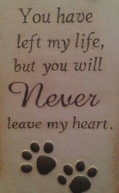 a memorial stone with a dog's paw prints and the words you have left my life, but you will never leave my heart