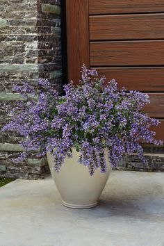 a white vase filled with purple flowers sitting on top of a cement slab next to a brick wall