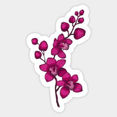 an orchid sticker is shown on a white background, with pink flowers in the center