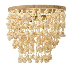 a chandelier with shells hanging from the ceiling