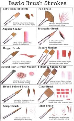 the basic guide to brush strokes for different types of makeup brushes and their uses on them