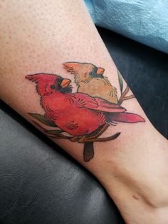 a couple of birds sitting on top of a person's leg with one bird perched on the other