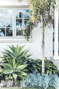 a white house with blue and green plants in front