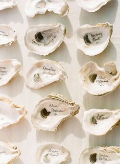 several oysters with names on them sitting on a white tableclothed surface in front of each other