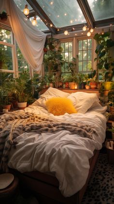 a bed sitting under a window next to potted plants in a room with lots of windows