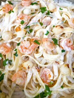 pasta with shrimp and parsley in a white sauce