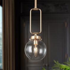 a light fixture hanging from a ceiling in a living room with a potted plant