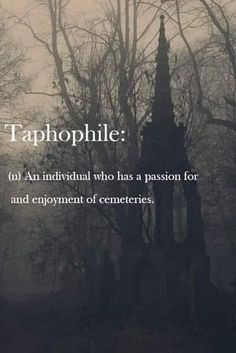 the cover of tapophile an individual who has a passion for and enjoyment of contemplies