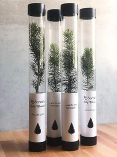 three glass tubes with trees in them on a wooden counter top, one is empty and the other has no leaves