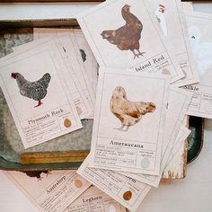 several different types of chickens are on display in an old tin box with papers attached to it