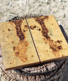 two pieces of wood sitting on top of a tree stump