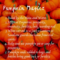 Magical Properties of Food: The Kitchen Witch's Food List Pumpkin Spells, Pumpkin Witchcraft, Fruit Magic, Blessed Samhain, Pumpkin Magic, Kitchen Witchcraft, Witch Recipes, Spell Bottles