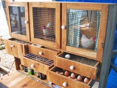 a wooden cabinet filled with lots of different types of eggs and birds in cages on top of it