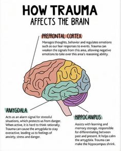 Cognitive Approach Psychology, Psychology Diagrams, Brain Anatomy And Function, Learning Psychology, Psychology Notes, Psychology Studies, Mental Health Activities, Clinical Social Work, Basic Anatomy And Physiology