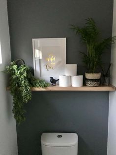 a bathroom with a toilet and some plants on the shelf