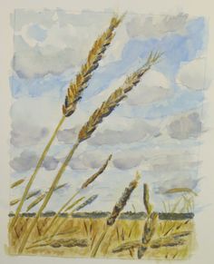 a watercolor painting of wheat stalks in a field under a blue sky with clouds