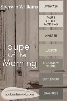 Sherwin Williams Taupe of the Morning color strip features Limewash, Taupe of the Morning, Whisper, Illusion, Lauriston Stone, Settlement, and Braintree, swatched over a photo of a taupe colored door. Benjamin Moore Smokey Taupe, Sherwin Williams Taupe, Taupe Of The Morning, Perfect Greige, Smokey Taupe, Indoor Paint