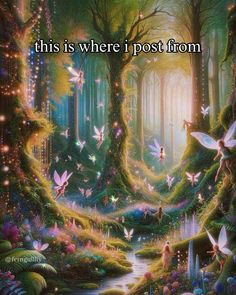 there is a fairy forest with many different things in it