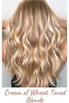 Cream of Wheat Toned Blonde